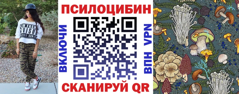 Псилоцибиновые грибы Psilocybe  Петровск 